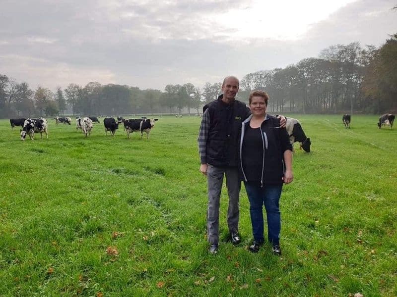 Boeren in weiland