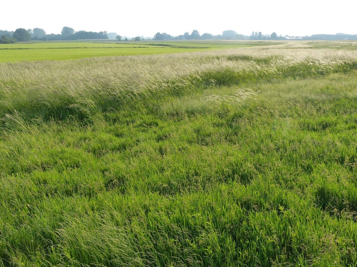 Foto: Smeding Bouwadvies