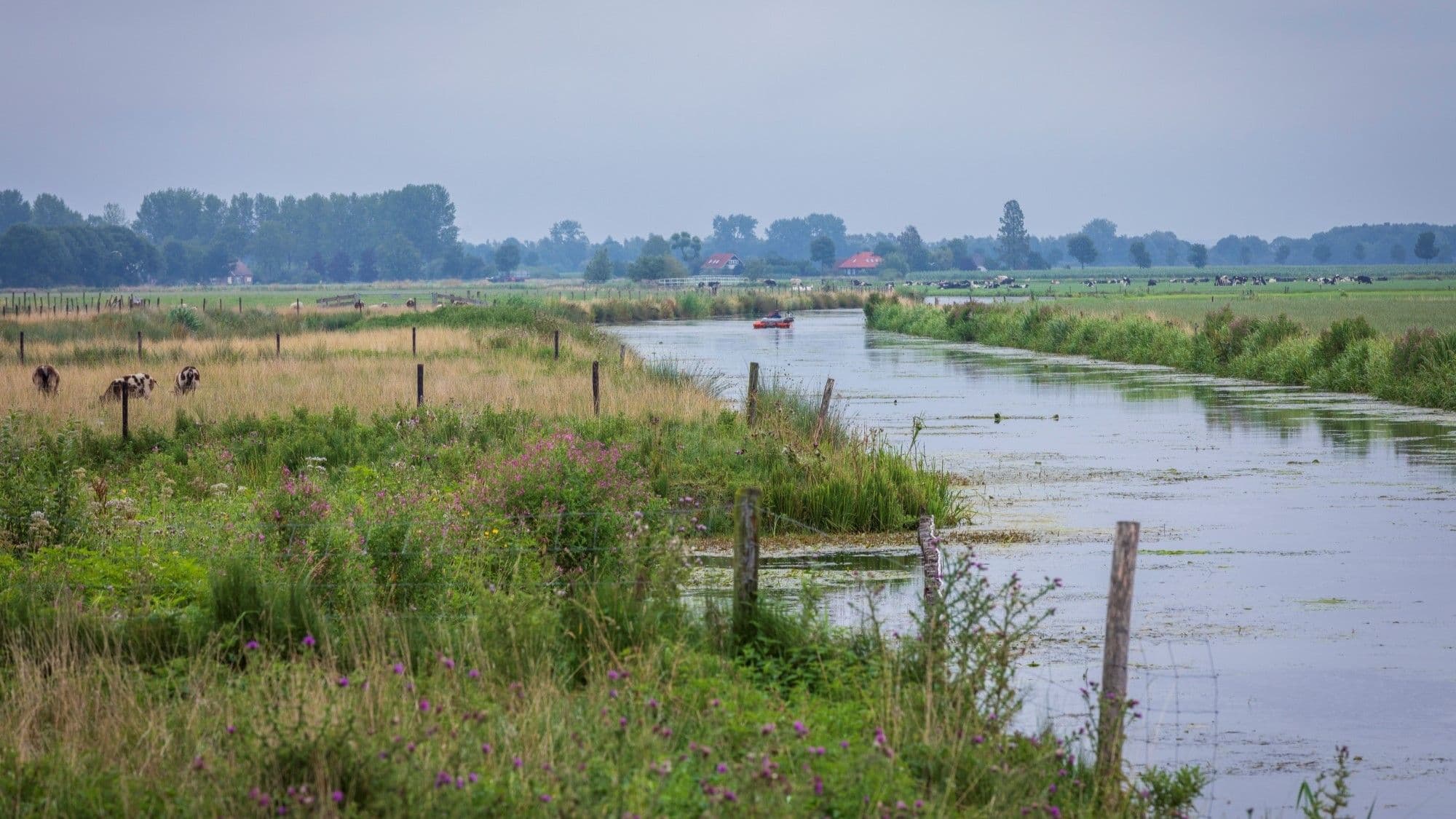 Brede sloot in landbouwgebied