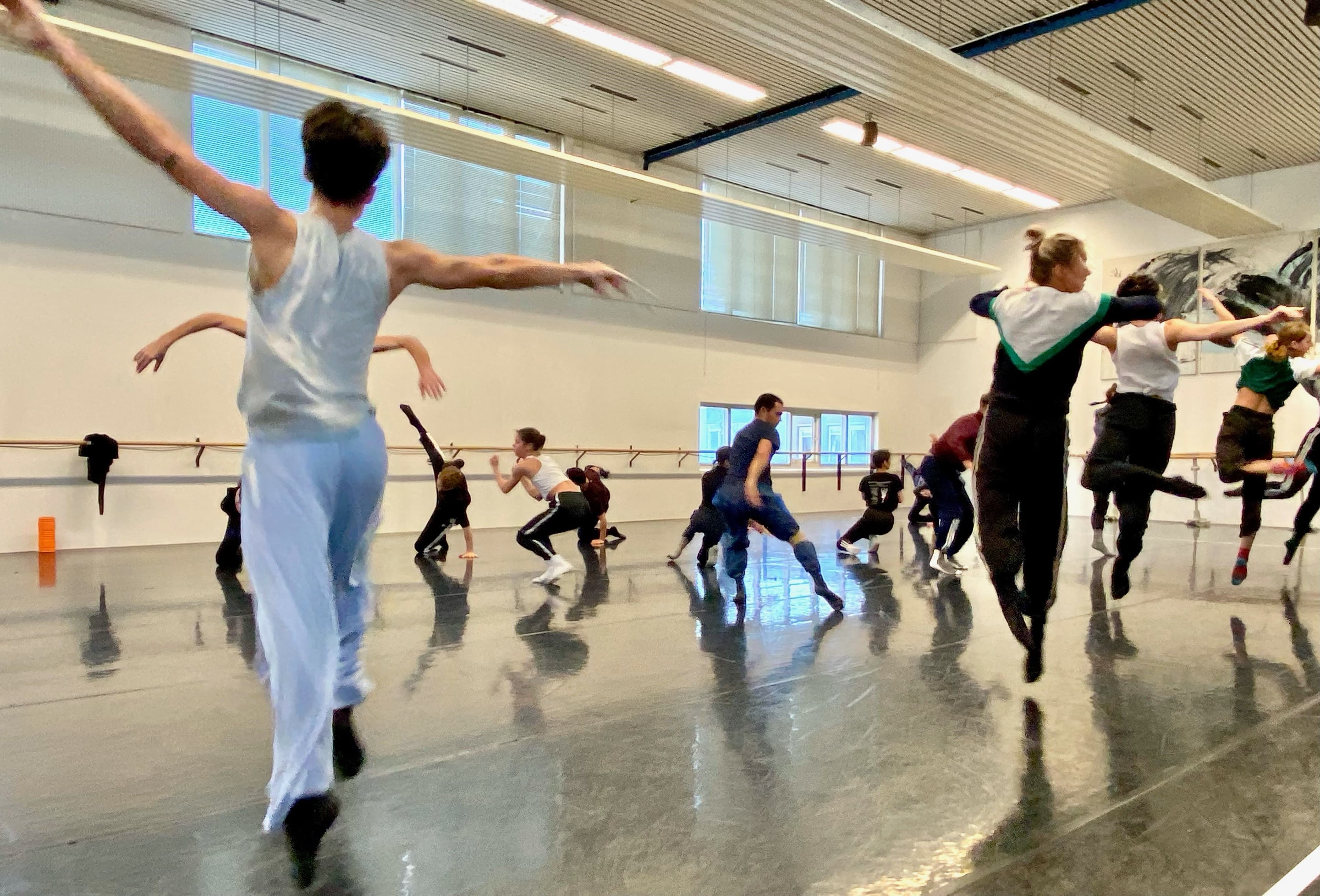 Dansers van introdans, dansen in de oefenruimte