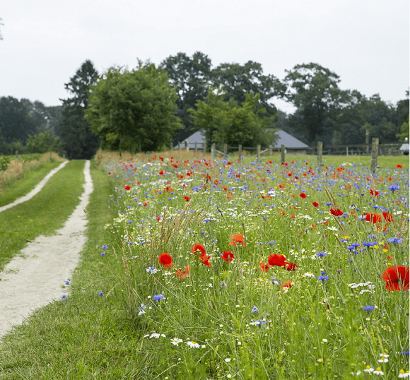 Natuurinclusieve landbouw