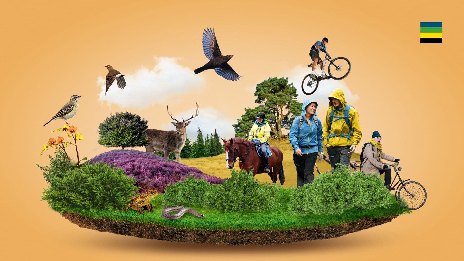 Animatie recreatiezonering