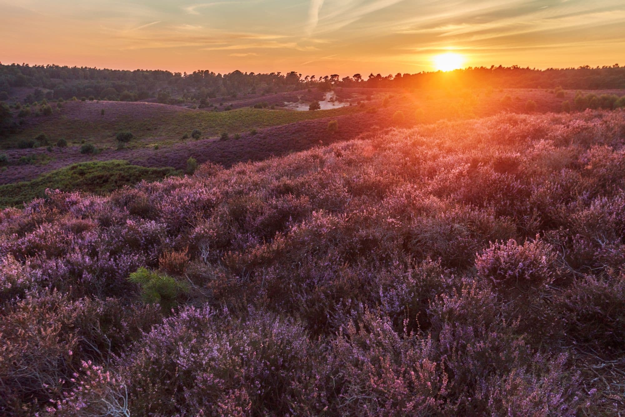 Luchtfoto avondzon Veluwe