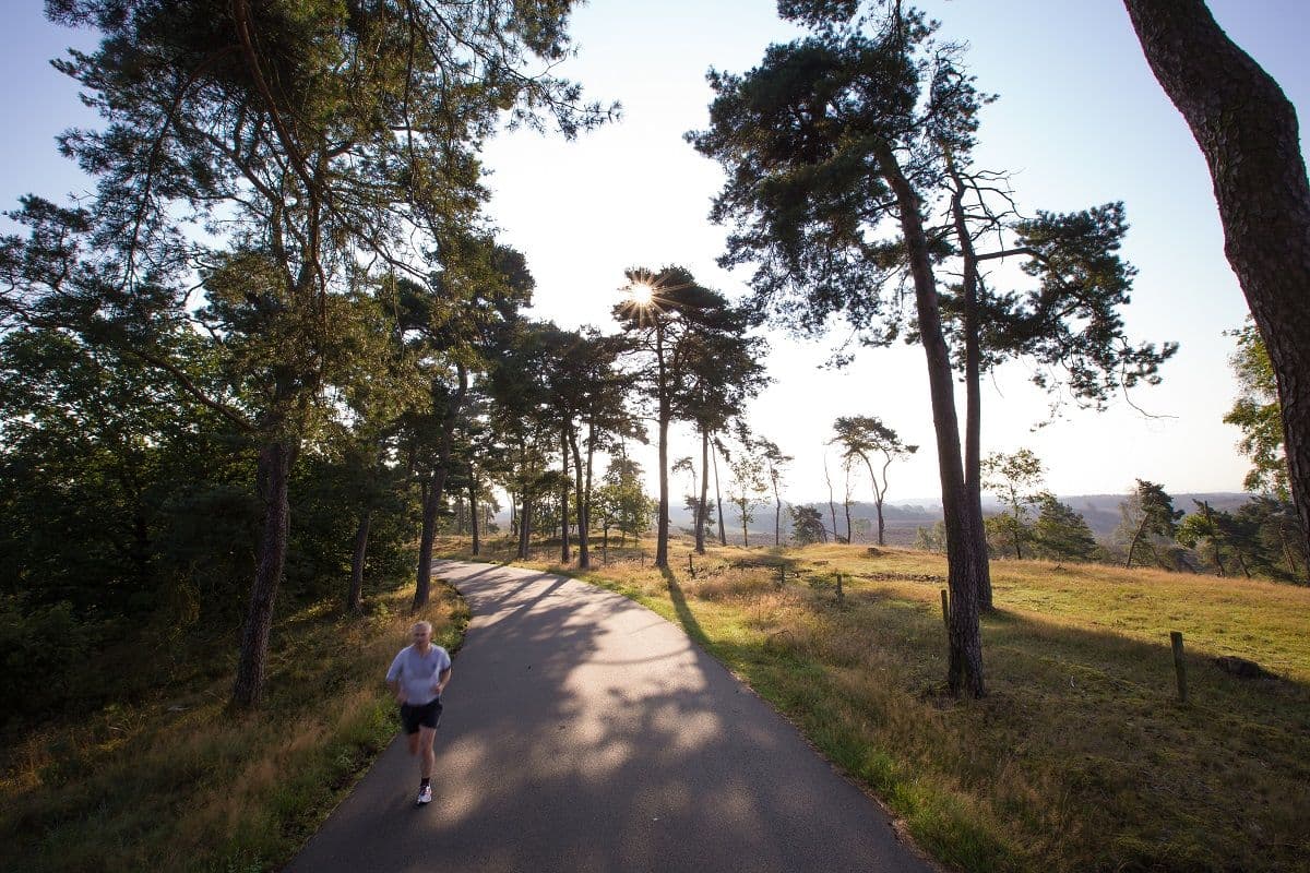 hardloper op de veluwe