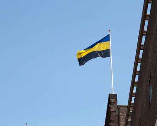 Gelderse vlag