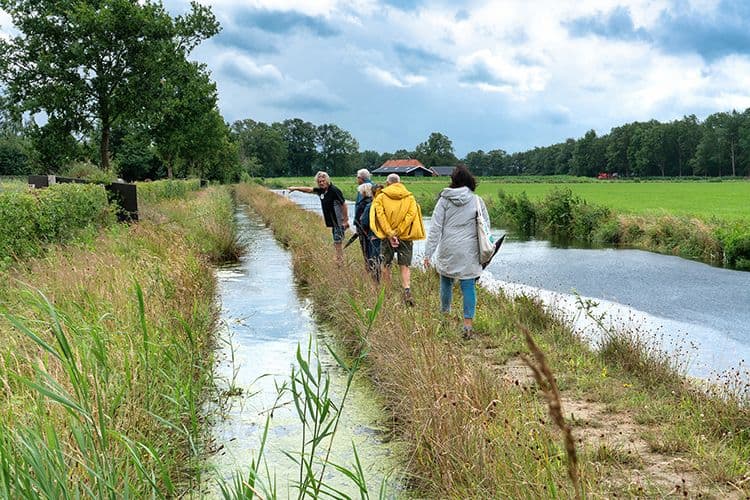 Web holten323.jpg
