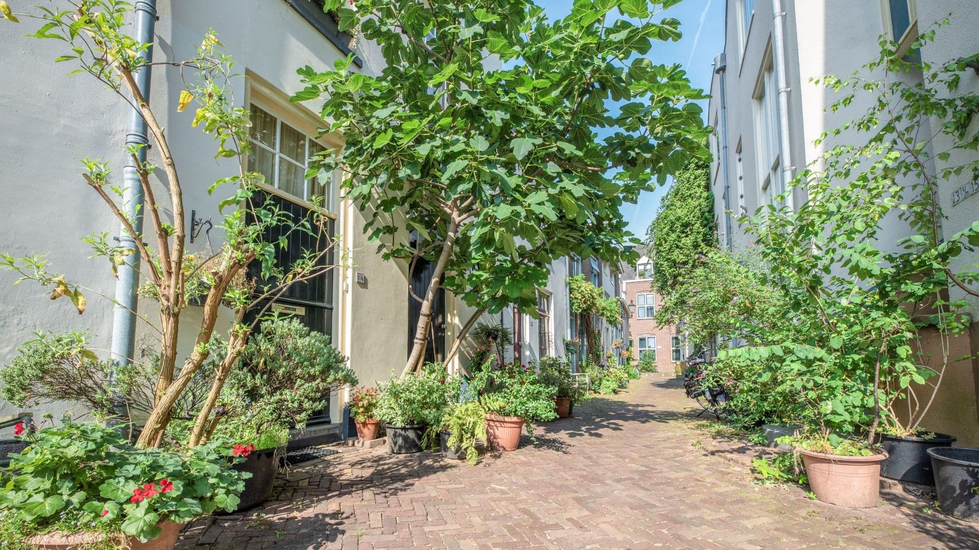 Straat met groen in bloempotten