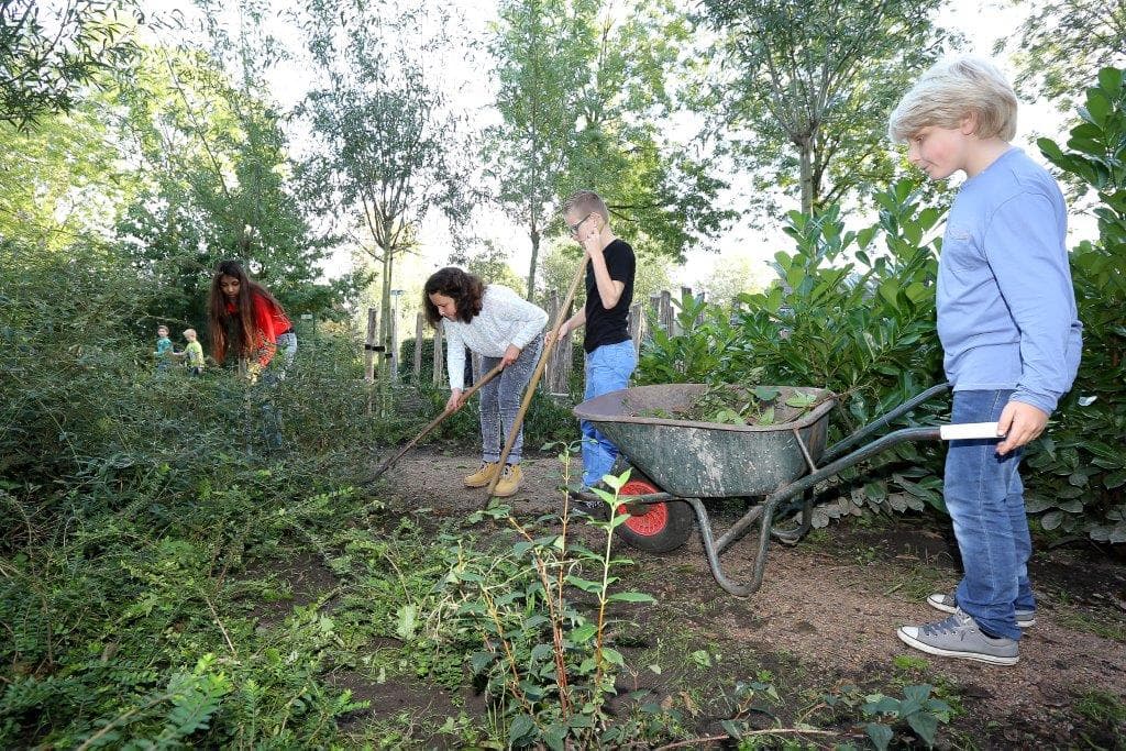 Kinderen verbouwen gewas