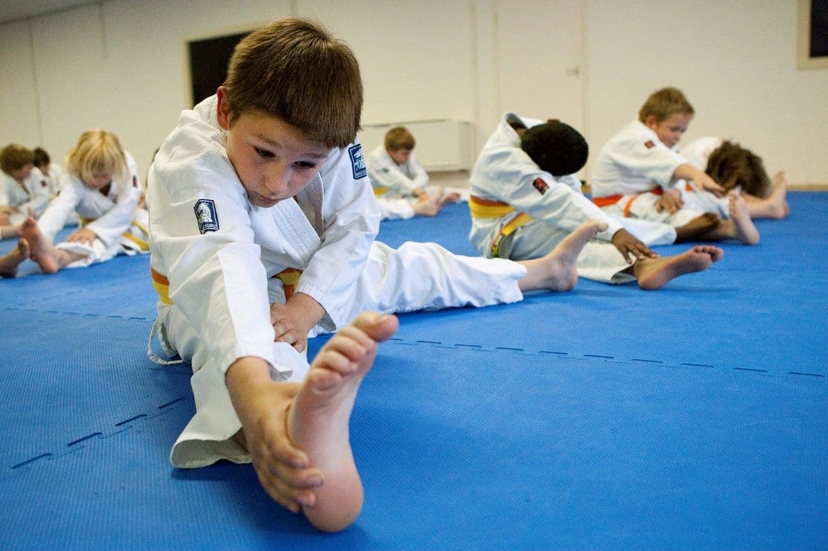 judo.jpg