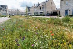 Een woonwijk met een levende tuin, voor meer biodiversiteit.