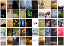 Collage van alle foto's van de genomineerden