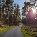 Fietsroutes van BiCycling magazine