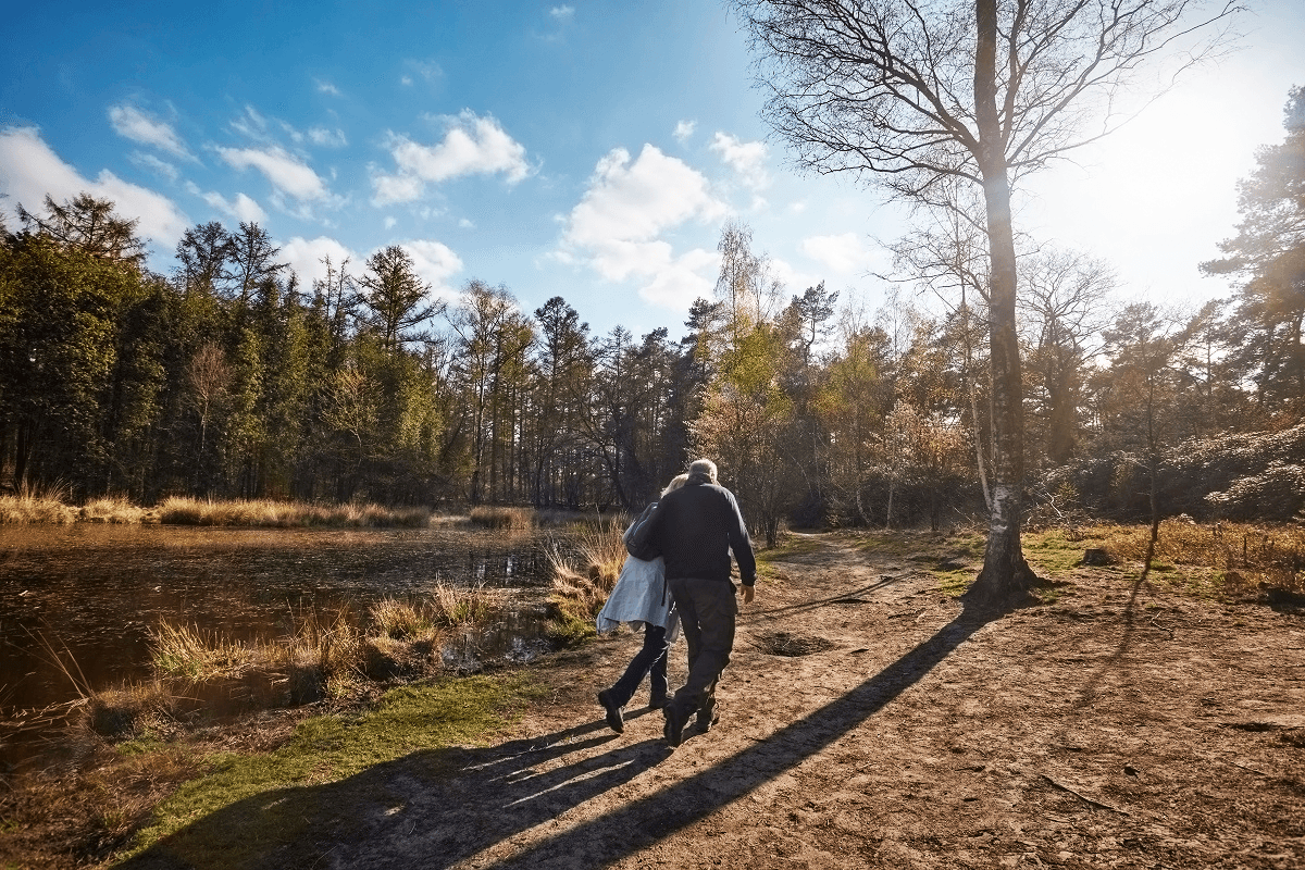 ouderen wandelen op de veluwe