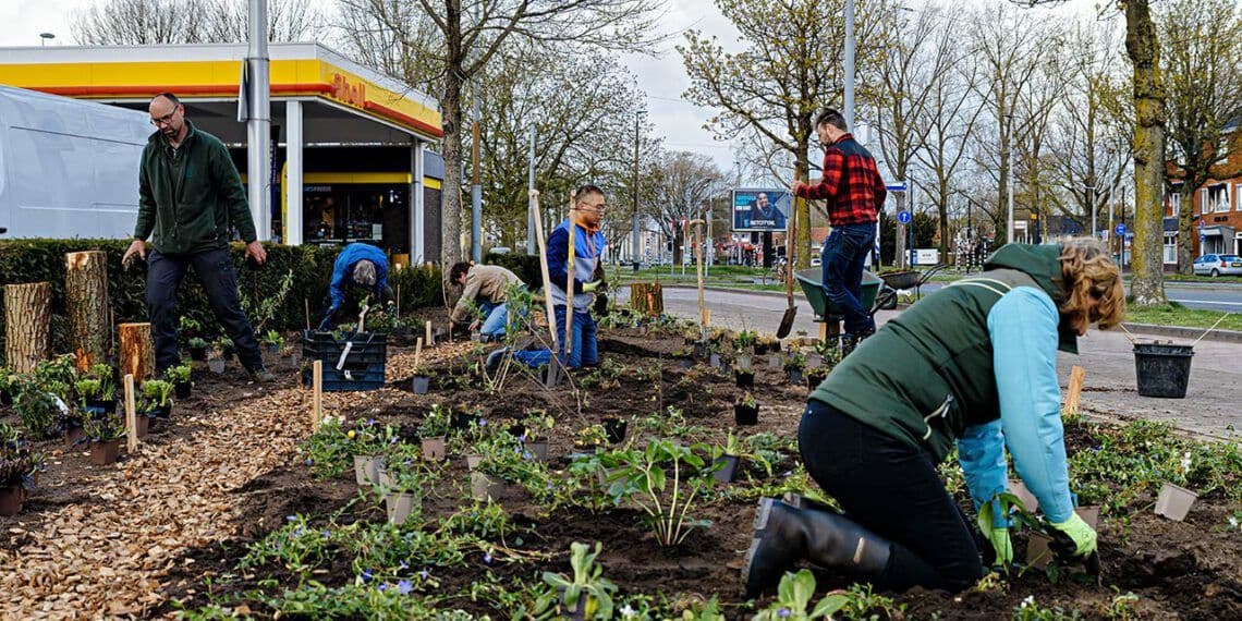 mensen beplanten strook langs de weg