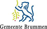 Gemeente Brummen