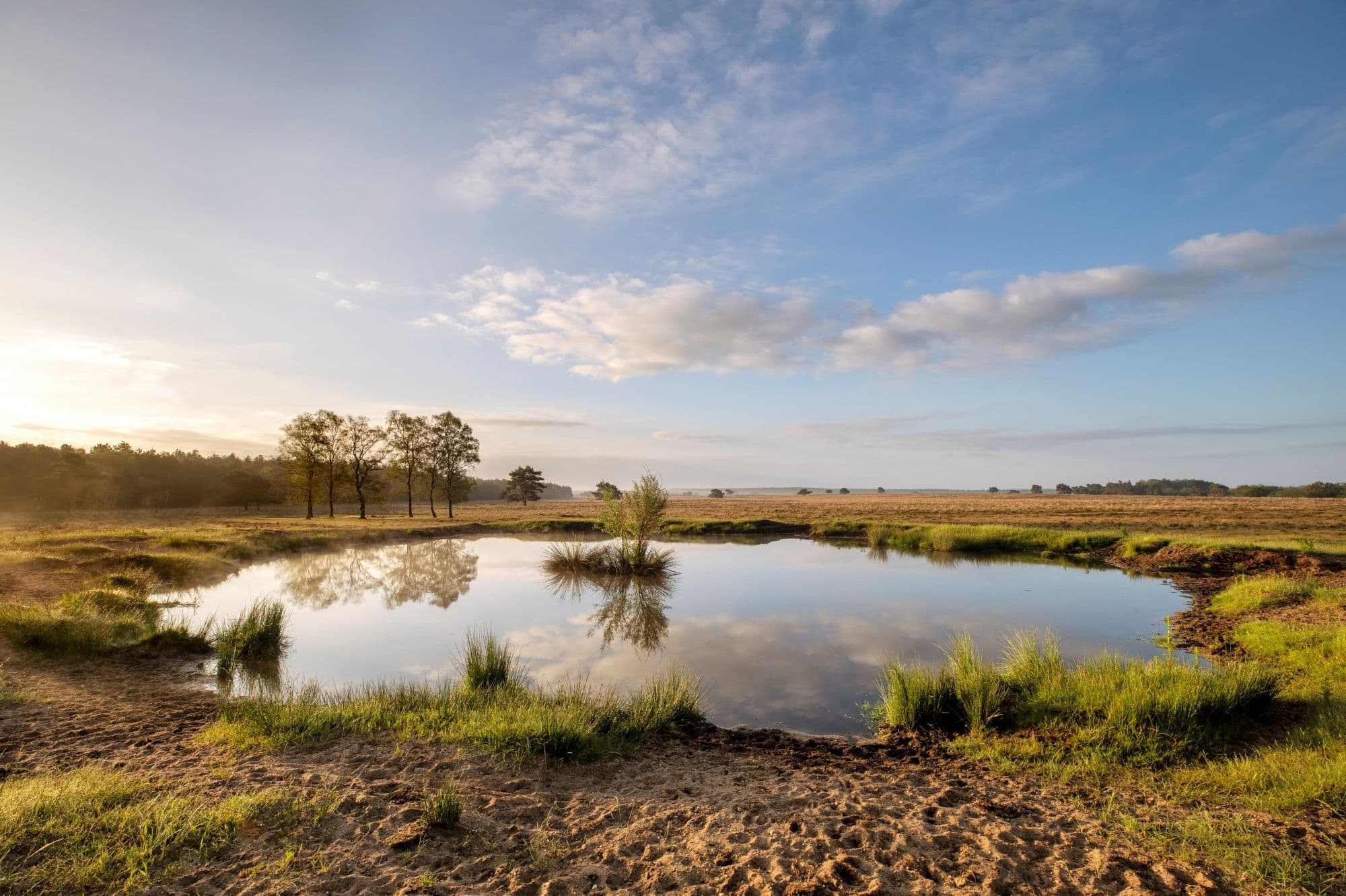 Ven op de Veluwe met blauwe lucht en groene grasrand